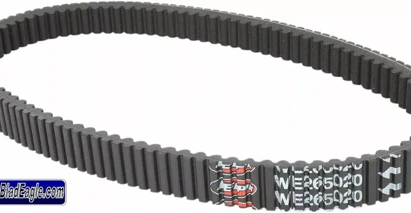 EPI Belt SD 265020